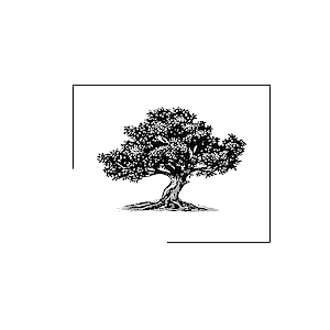 olivetree