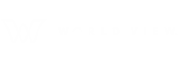 World View