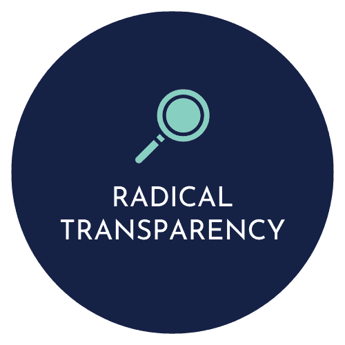 Radical Transparency