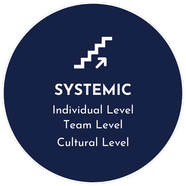 Systemic: Individual Level, Team Level, Cultural Level